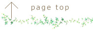 ページトップ